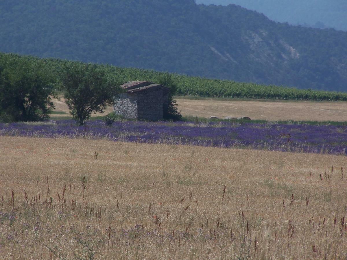 Le Pigeonnier chambre d'hôte Piégros-la-Clastre Exterior foto